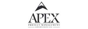 Apex strategy consultants
